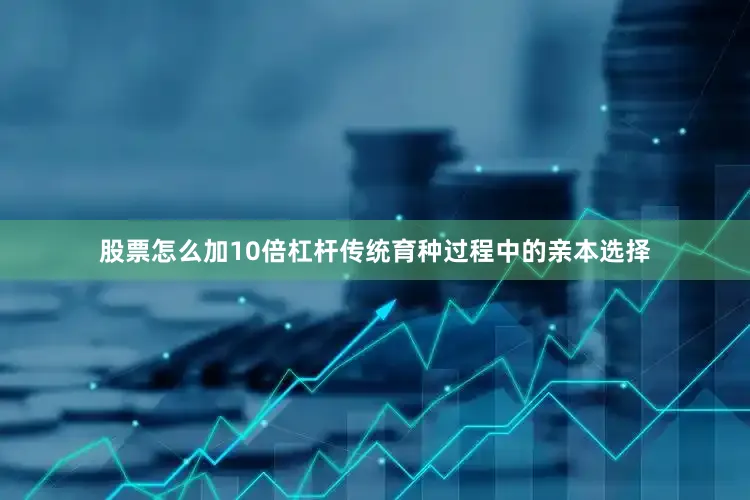 股票怎么加10倍杠杆传统育种过程中的亲本选择